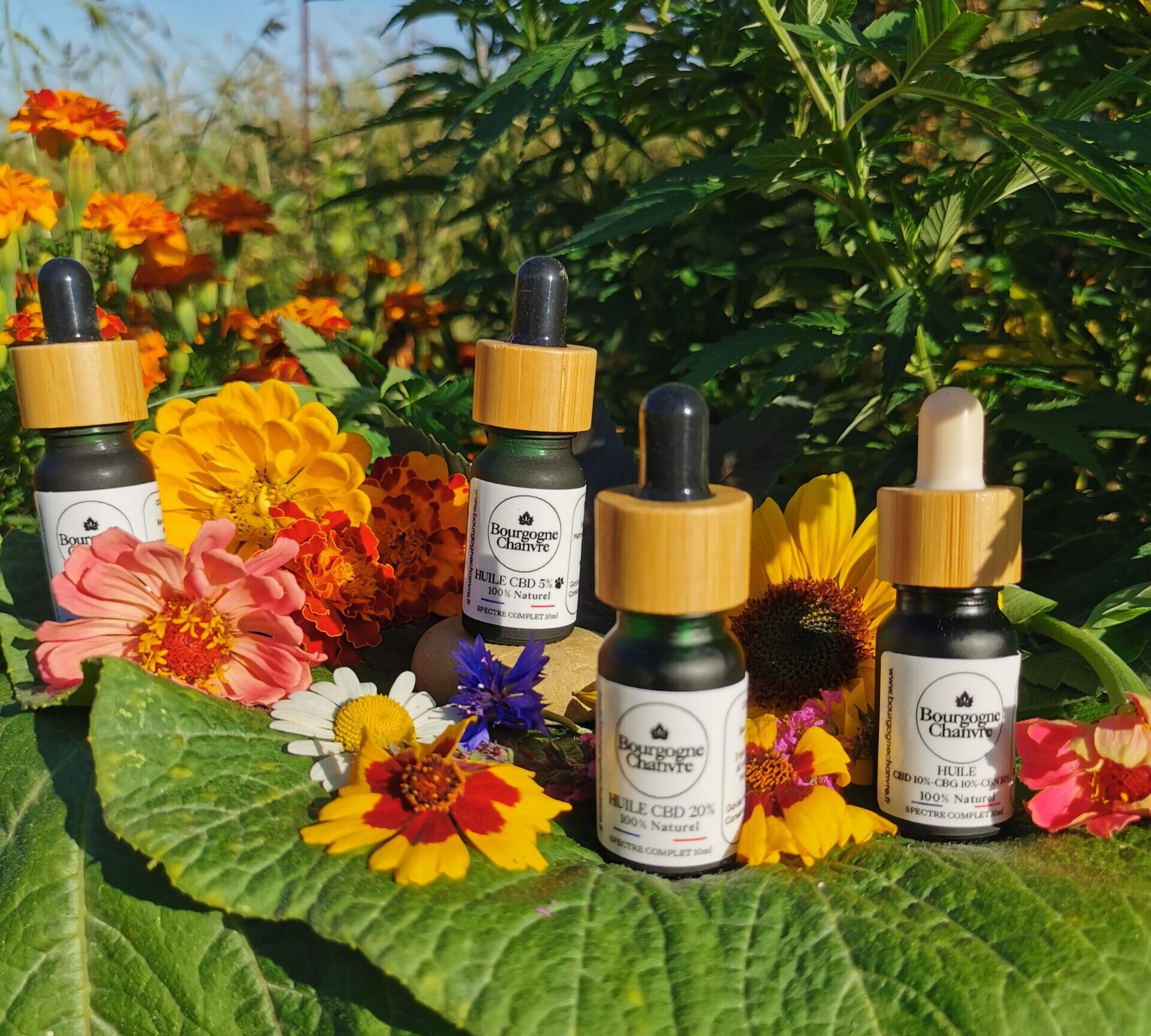 Image du produit