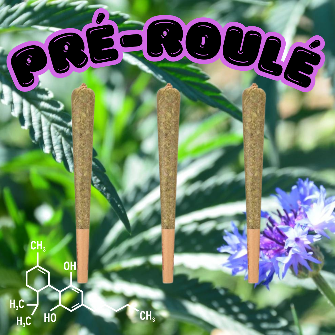 Image du produit