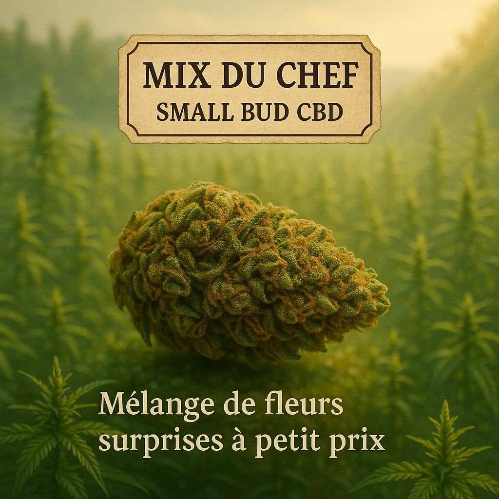 Image du produit